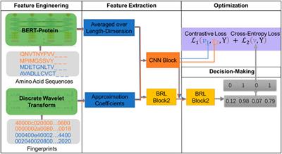 DTI-BERT: Identifying Drug-Target Interactions in Cellular Networking Based on BERT and Deep Learning Method